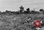Immagine di Soldati francesi Indocina, 1950, secondo 6 filmato di repertorio 65675044771