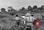 Immagine di Soldati francesi Indocina, 1950, secondo 10 filmato di repertorio 65675044771