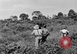 Immagine di Soldati francesi Indocina, 1950, secondo 11 filmato di repertorio 65675044771