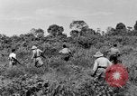 Immagine di Soldati francesi Indocina, 1950, secondo 13 filmato di repertorio 65675044771