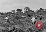 Immagine di Soldati francesi Indocina, 1950, secondo 14 filmato di repertorio 65675044771