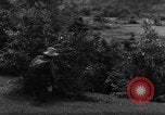 Standbild französische Truppen im Kampf Indochina, 1953, aus Sekunde 17 historischem Filmmaterial Videoclip 65675044777