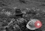 Standbild französische Truppen im Kampf Indochina, 1953, aus Sekunde 44 historischem Filmmaterial Videoclip 65675044777