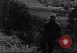 Standbild französische Truppen im Kampf Indochina, 1953, aus Sekunde 57 historischem Filmmaterial Videoclip 65675044777
