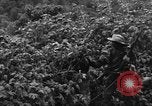 Standbild französische Truppen im Kampf Indochina, 1953, aus Sekunde 60 historischem Filmmaterial Videoclip 65675044777