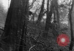 Image of French troops in combat at Diên Biên Phu Indochina, 1954, second 33 stock footage video 65675044778