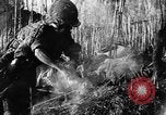 Image of French troops in combat at Diên Biên Phu Indochina, 1954, second 39 stock footage video 65675044778