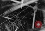 Image of French troops in combat at Diên Biên Phu Indochina, 1954, second 43 stock footage video 65675044778