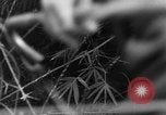 Image of French troops in combat at Diên Biên Phu Indochina, 1954, second 44 stock footage video 65675044778