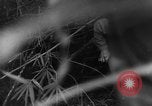 Image of French troops in combat at Diên Biên Phu Indochina, 1954, second 47 stock footage video 65675044778