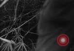 Image of French troops in combat at Diên Biên Phu Indochina, 1954, second 51 stock footage video 65675044778