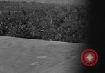Standbild Douglas C-47 Skytrain Nadzab New Guinea, 1943, aus Sekunde 18 historischem Filmmaterial Videoclip 65675044787