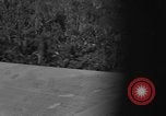 Standbild Douglas C-47 Skytrain Nadzab New Guinea, 1943, aus Sekunde 19 historischem Filmmaterial Videoclip 65675044787