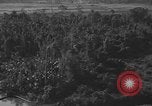 Standbild Douglas C-47 Skytrain Nadzab New Guinea, 1943, aus Sekunde 21 historischem Filmmaterial Videoclip 65675044787