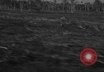 Standbild Douglas C-47 Skytrain Nadzab New Guinea, 1943, aus Sekunde 57 historischem Filmmaterial Videoclip 65675044787