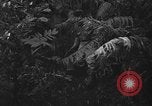 Standbild Oberst Sverdrup Nadzab New Guinea, 1943, aus Sekunde 24 historischem Filmmaterial Videoclip 65675044788