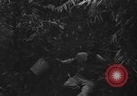 Standbild Oberst Sverdrup Nadzab New Guinea, 1943, aus Sekunde 27 historischem Filmmaterial Videoclip 65675044788