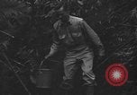 Standbild Oberst Sverdrup Nadzab New Guinea, 1943, aus Sekunde 28 historischem Filmmaterial Videoclip 65675044788