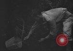 Standbild Oberst Sverdrup Nadzab New Guinea, 1943, aus Sekunde 31 historischem Filmmaterial Videoclip 65675044788