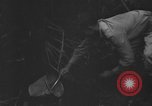 Standbild Oberst Sverdrup Nadzab New Guinea, 1943, aus Sekunde 32 historischem Filmmaterial Videoclip 65675044788
