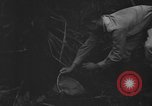 Standbild Oberst Sverdrup Nadzab New Guinea, 1943, aus Sekunde 33 historischem Filmmaterial Videoclip 65675044788