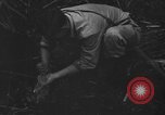 Standbild britischer Soldat Nadzab New Guinea, 1943, aus Sekunde 6 historischem Filmmaterial Videoclip 65675044789