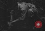 Standbild britischer Soldat Nadzab New Guinea, 1943, aus Sekunde 13 historischem Filmmaterial Videoclip 65675044789
