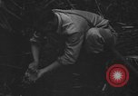 Standbild britischer Soldat Nadzab New Guinea, 1943, aus Sekunde 15 historischem Filmmaterial Videoclip 65675044789