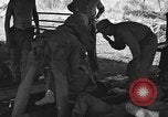 Immagine di Nadzab feriti Marilanin Nuova Guinea, 1943, secondo 5 filmato di repertorio 65675044792