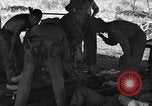 Immagine di Nadzab feriti Marilanin Nuova Guinea, 1943, secondo 7 filmato di repertorio 65675044792