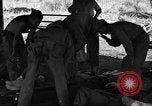 Immagine di Nadzab feriti Marilanin Nuova Guinea, 1943, secondo 8 filmato di repertorio 65675044792