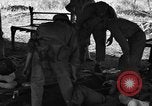 Immagine di Nadzab feriti Marilanin Nuova Guinea, 1943, secondo 11 filmato di repertorio 65675044792