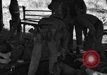 Immagine di Nadzab feriti Marilanin Nuova Guinea, 1943, secondo 12 filmato di repertorio 65675044792