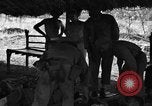 Immagine di Nadzab feriti Marilanin Nuova Guinea, 1943, secondo 14 filmato di repertorio 65675044792
