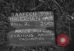 Immagine di Nadzab feriti Marilanin Nuova Guinea, 1943, secondo 20 filmato di repertorio 65675044792