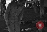Immagine di Nadzab feriti Marilanin Nuova Guinea, 1943, secondo 23 filmato di repertorio 65675044792