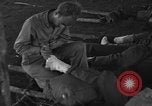 Immagine di Nadzab feriti Marilanin Nuova Guinea, 1943, secondo 37 filmato di repertorio 65675044792
