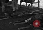 Immagine di Nadzab feriti Marilanin Nuova Guinea, 1943, secondo 59 filmato di repertorio 65675044792