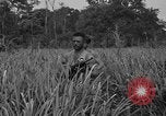 Immagine di Paracadutisti alleati Nadzab Nuova Guinea, 1943, secondo 5 filmato di repertorio 65675044793