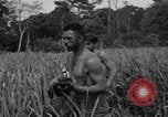 Immagine di Paracadutisti alleati Nadzab Nuova Guinea, 1943, secondo 8 filmato di repertorio 65675044793