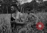 Immagine di Paracadutisti alleati Nadzab Nuova Guinea, 1943, secondo 9 filmato di repertorio 65675044793