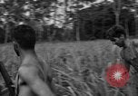Immagine di Paracadutisti alleati Nadzab Nuova Guinea, 1943, secondo 11 filmato di repertorio 65675044793