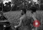 Immagine di Paracadutisti alleati Nadzab Nuova Guinea, 1943, secondo 13 filmato di repertorio 65675044793