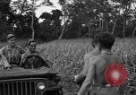 Immagine di Paracadutisti alleati Nadzab Nuova Guinea, 1943, secondo 14 filmato di repertorio 65675044793