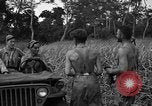 Immagine di Paracadutisti alleati Nadzab Nuova Guinea, 1943, secondo 16 filmato di repertorio 65675044793