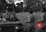 Immagine di Paracadutisti alleati Nadzab Nuova Guinea, 1943, secondo 17 filmato di repertorio 65675044793