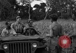 Immagine di Paracadutisti alleati Nadzab Nuova Guinea, 1943, secondo 18 filmato di repertorio 65675044793