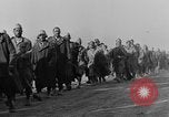Immagine di British Army 8 Il Nord Africa, 1943, secondo 23 filmato di repertorio 65675044794