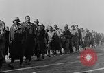 Immagine di British Army 8 Il Nord Africa, 1943, secondo 24 filmato di repertorio 65675044794