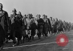 Immagine di British Army 8 Il Nord Africa, 1943, secondo 26 filmato di repertorio 65675044794
